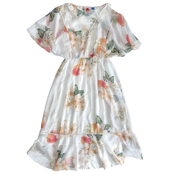 Farm Rio Anthropologie Eloisa Floral Midi Dress Sheer Chiffon Small - Picture 2 of 10